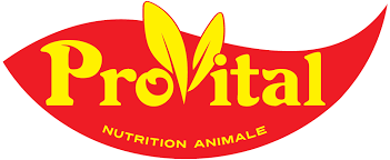 PROVITAL
